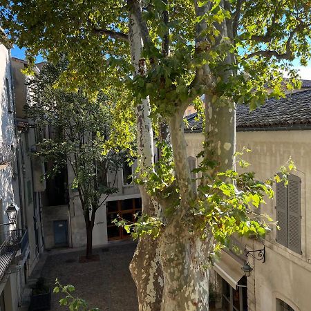 La Charmante Du Palais 2 Chambres Avignon Bagian luar foto