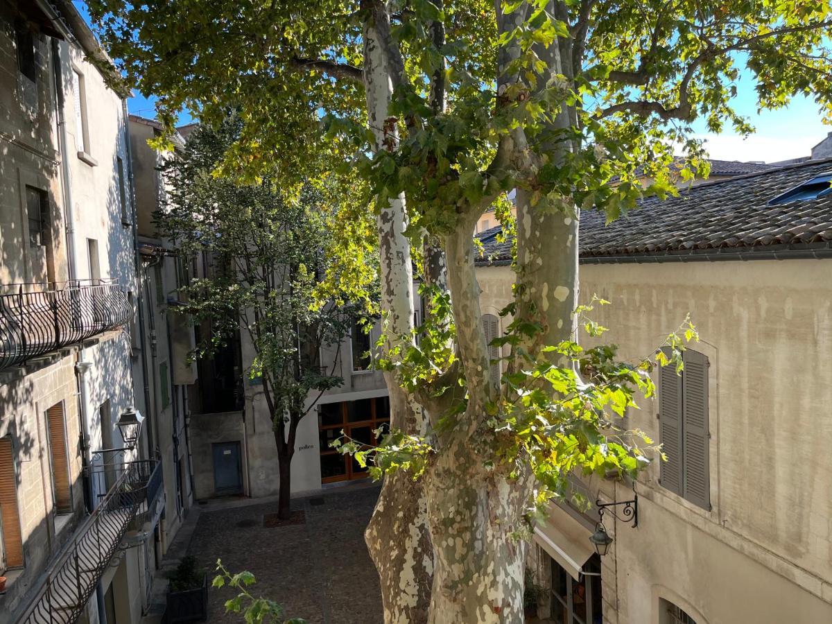La Charmante Du Palais 2 Chambres Avignon Bagian luar foto