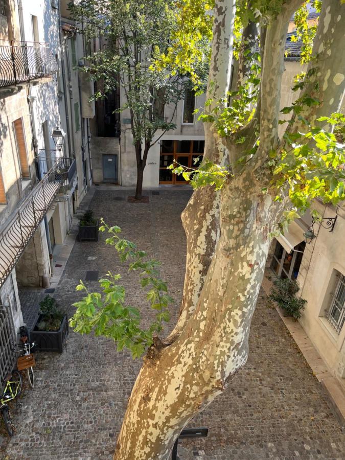 La Charmante Du Palais 2 Chambres Avignon Bagian luar foto